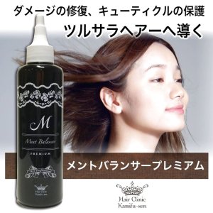 画像4: (メントバランサープレミアム） ヘマチン トリートメント 髪質改善 キューティクル  補修 本格的ホームケア サロン専売 美容室専売 (4)