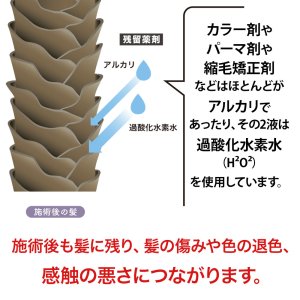 画像4: ヘアカラー パーマ毛に必需品(メンディングメイド)　トリートメント アフター処理剤 退色防止 白髪染め ダメージ予防 美容室専売 (4)