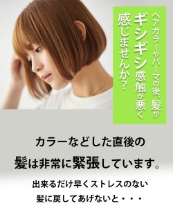 画像3: ヘアカラー パーマ毛に必需品(メンディングメイド)　トリートメント アフター処理剤 退色防止 白髪染め ダメージ予防 美容室専売 (3)