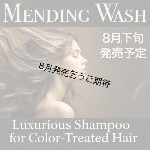 画像1: 【New】ヘアカラー毛用シャンプー ケラチン ヘマチンシャンプー 髪風船 メンディングウォッシュ【8月下旬発売予定】 (1)