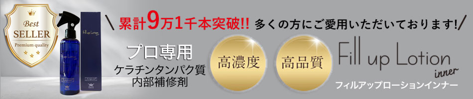 フィルアップpc殿堂入り